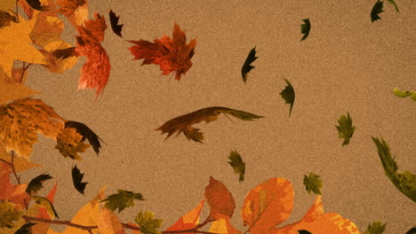 animación de varias hojas de otoño que caen sobre un fondo marrón