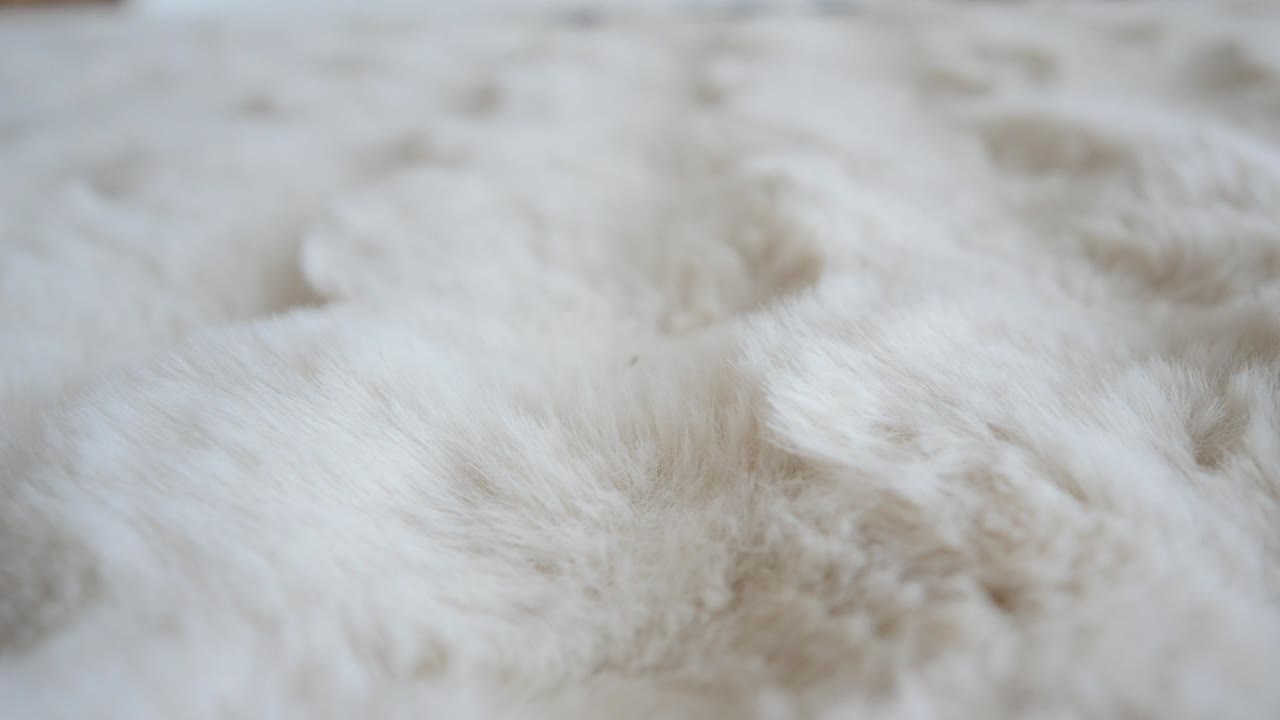 Closeup of white fur texture