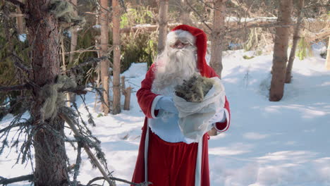 santa is standing in the forest with a sack full of moss in his hands and talking to the camera