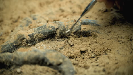 excavación arqueológica
