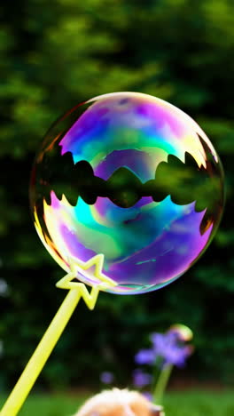 guinea pig playing with bubbles in the garden