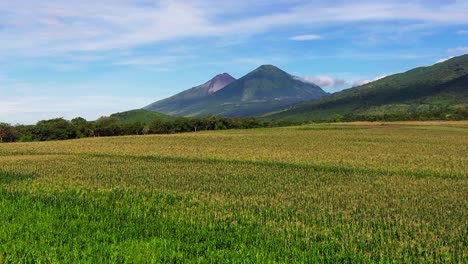 a dolly shot smoothly gliding over expansive corn fields, gradually revealing the pacaya volcano and peña de oro in the distance. the rich greenery of the fields contrasts with the volcanic mountains