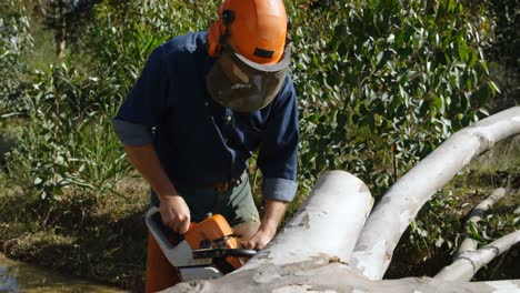 Lumberjack-cutting-fallen-tree-in-the-forest-4k