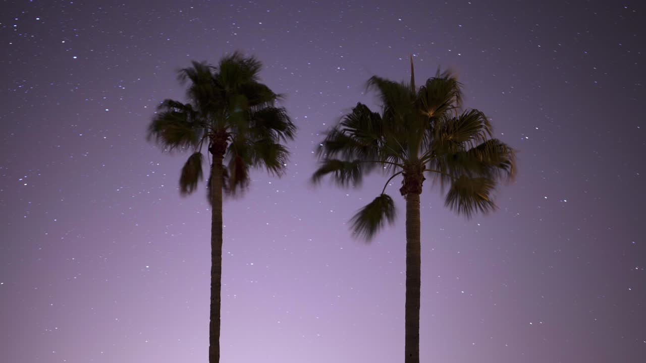 Time-lapse of stars moving behind the silhouette of two palm trees