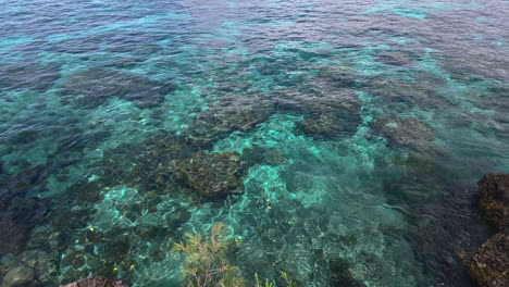 panning shot of jinek's bay, natural marine reserve in lifou, new caledonia