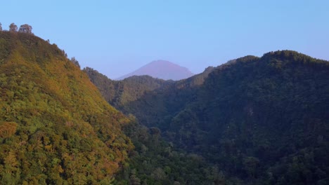 hermoso paisaje natural de bosque y colina con cielo azul