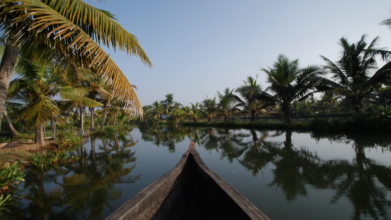 riflesso perfetto sulle palme