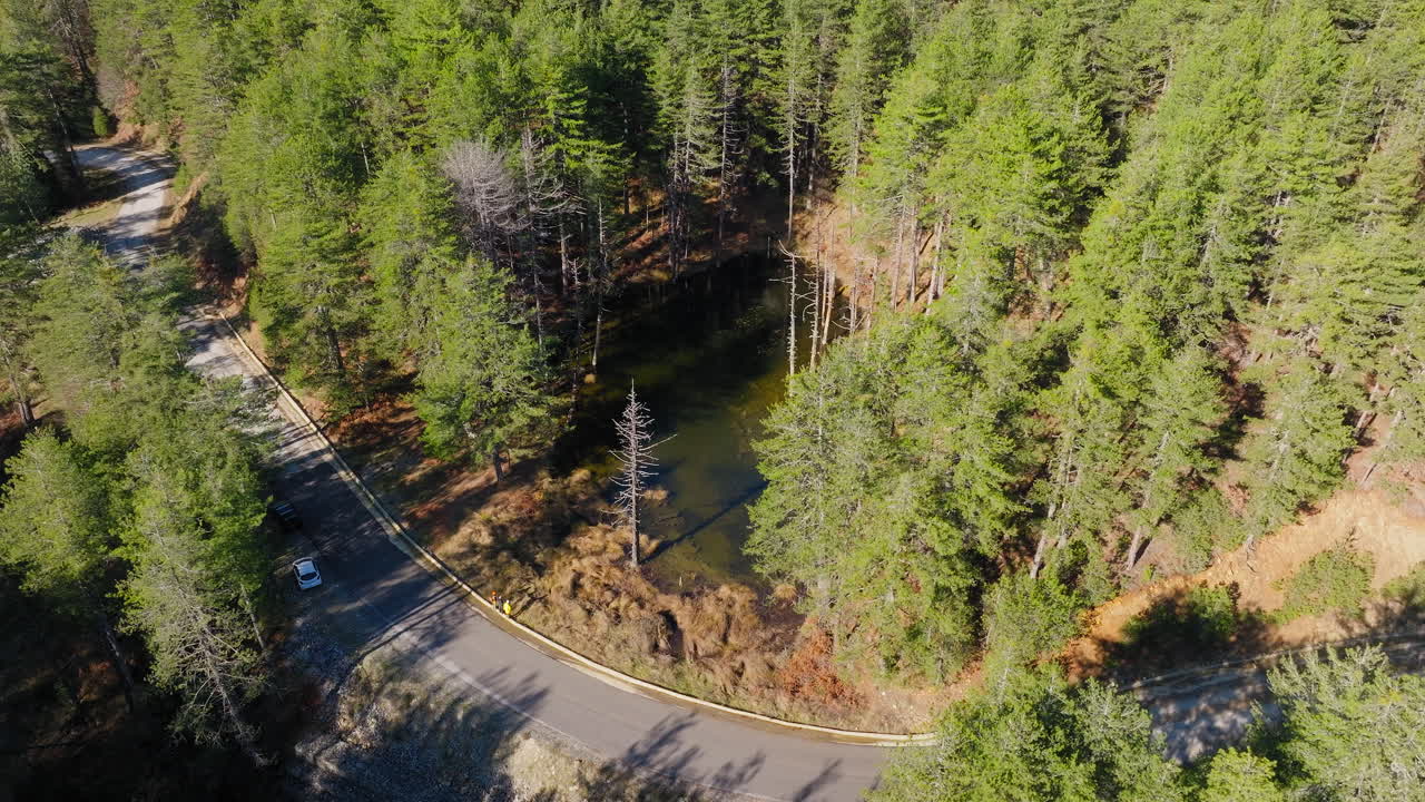 Ovenfra luftfoto af kredsende droneoptagelse af en skovsø ved siden af en snoet vej i Epirus, Grækenland