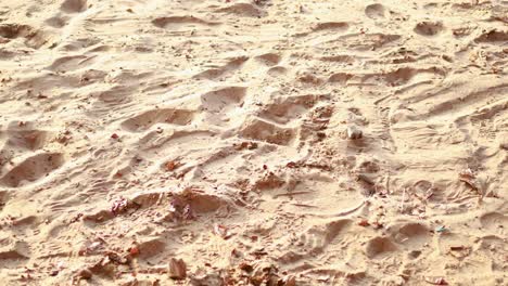 a sandy beach in phuket, thailand, with visible footprints and textured patterns under bright sunlight