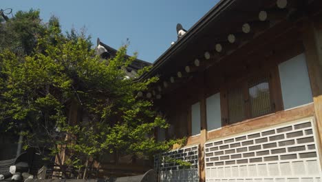 a dynamic parallax shot captures the unique details of a traditional korean hanok roofline, emphasizing its curved tiles, wooden beams, textured walls in bukchon hanok village, seoul, south korea