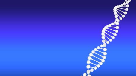 video of dna strand spinning with copy space on blue background