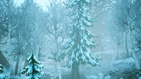 winter storm in a forest in winter