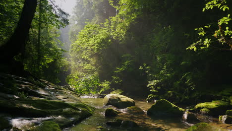 clean mountain stream in the mysterious morning forest the rays of the sun make their way through th