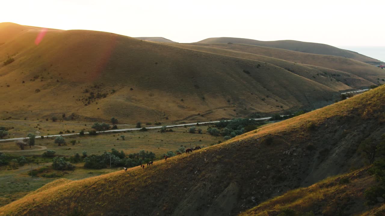 caballos pastando en un valle de montaña al atardecer