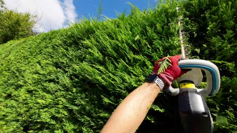 pov de corte de setos con un cortador eléctrico en cámara súper lenta en un día soleado