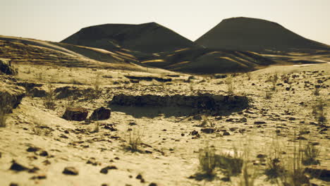 desert landscape with mountains in the distance