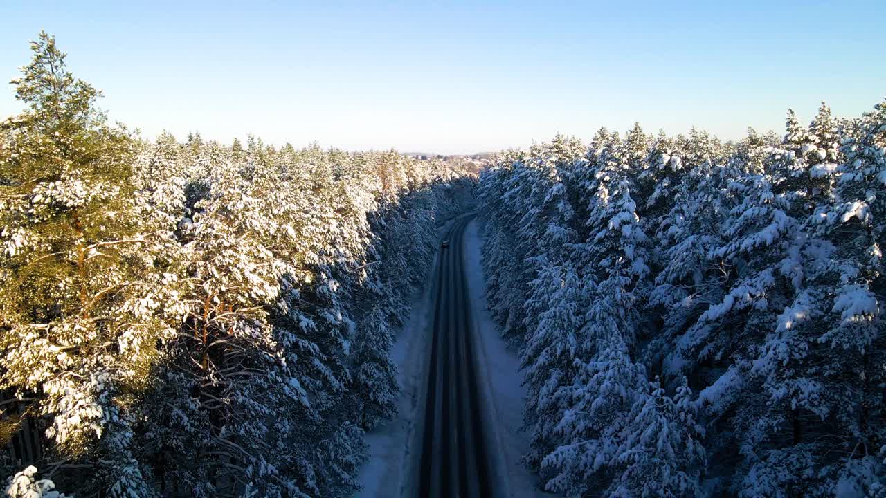 drone shot of the narrow asphalt road surrounded by snow-covered forest pine trees on a cloudy frosty winter day
