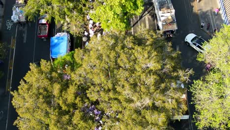 Inclinarse-Estableciendo-Una-Peregrinación-Caminando-Por-Una-Zona-Verde,-Siendo-Acompañado-Por-Camiones-De-Basura,-CDMX,-México.