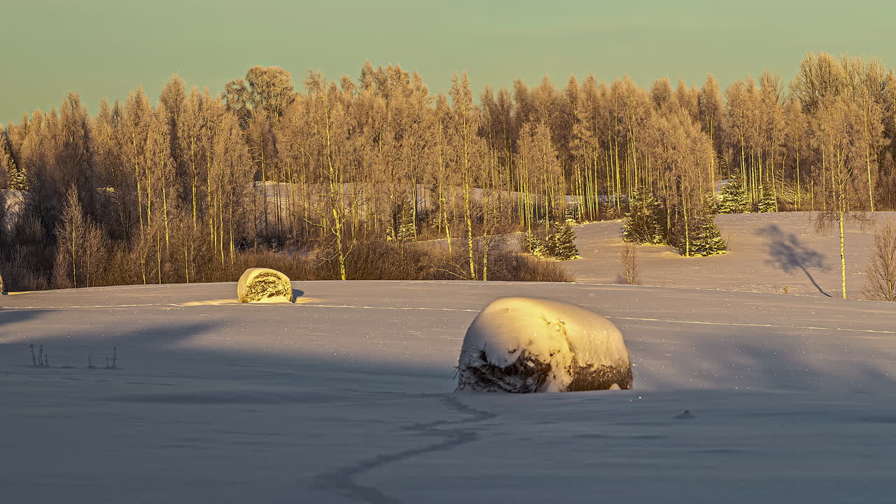 lapso de tiempo de la luz del sol dorada que pasa sobre fardos de heno cubiertos de nieve descansando en tierras de cultivo de nieve de invierno