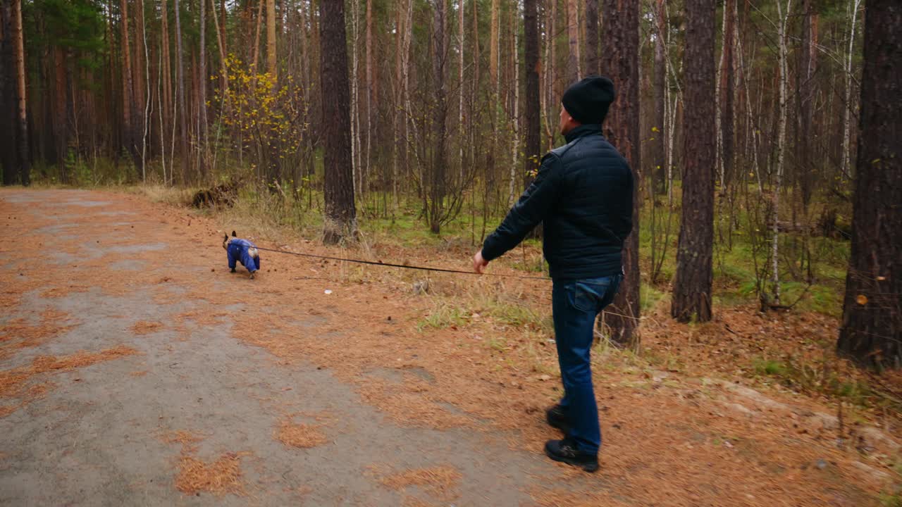 A Man Walking Along a Forest Path with His Small Dog, Surrounded by Trees and Fallen Leaves, Capturing a Serene Moment of Nature and Companionship in the Autumn Season