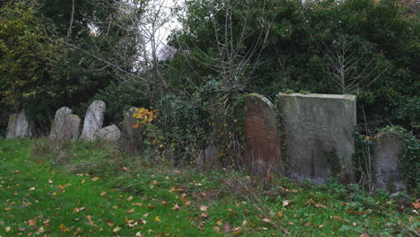 old headstone in an abandoned graveyard in bedfordshire