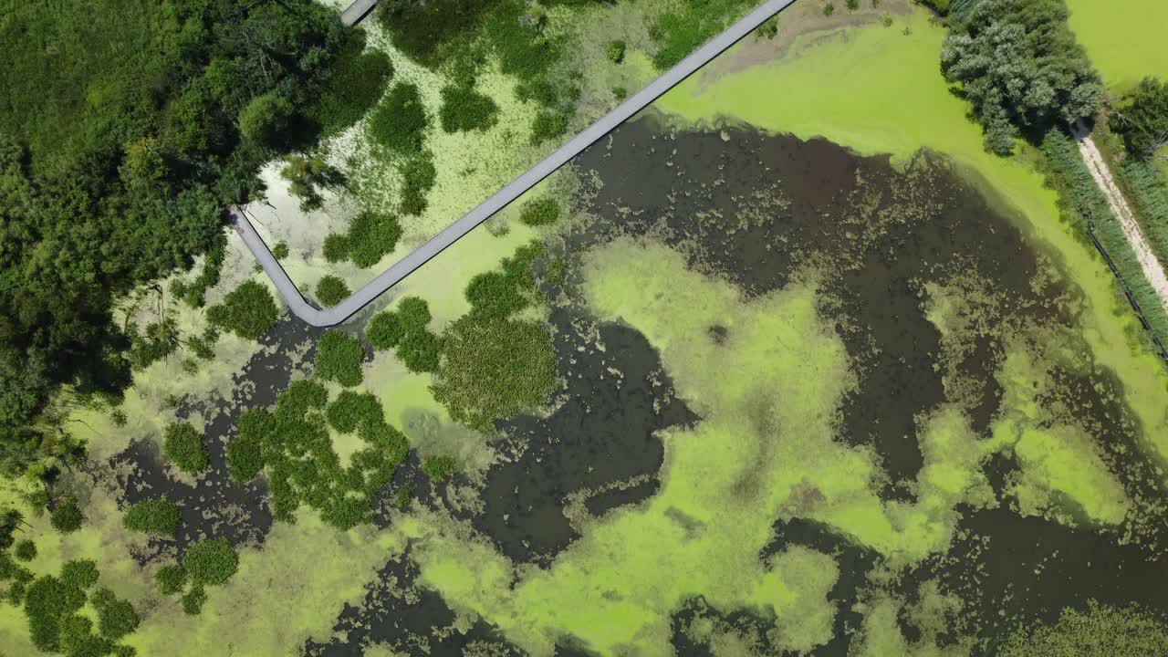 algae bloom in a pond aerial view