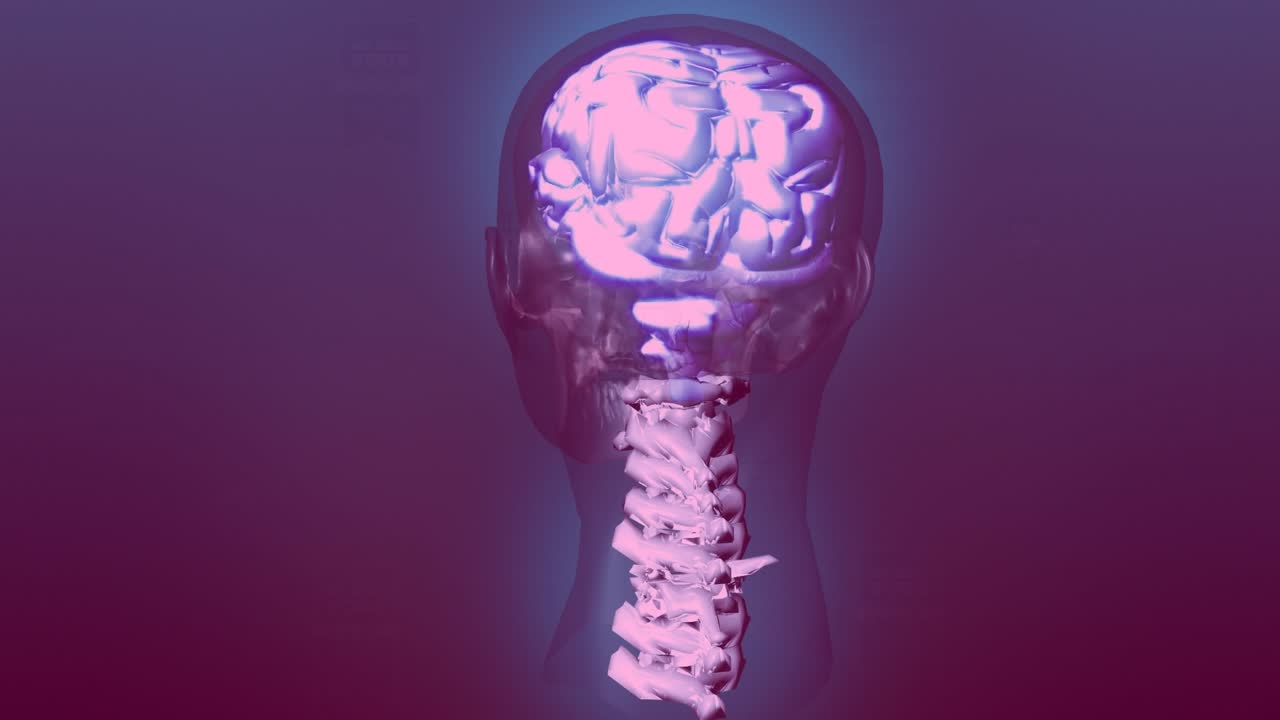 Animação de "você precisa de suporte" sobre um modelo de cabeça humana girando em fundo roxo