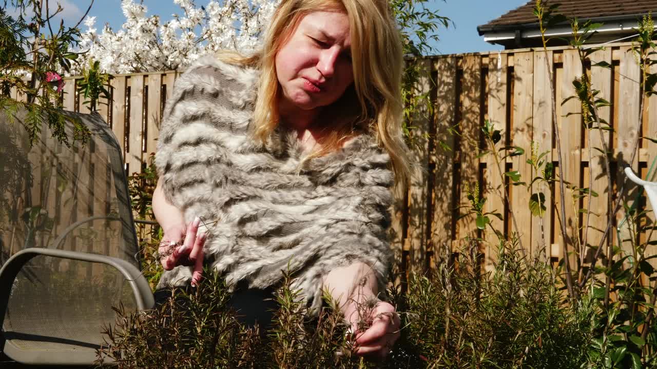 매력적인 여성이 정원에서 신선한 로즈마리 허브를 채집 중간 촬영 느린 동작 초상화로 확대