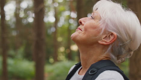 active retired senior woman walking in woodland countryside wearing backpack breathing fresh air