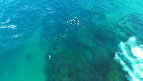 drone aerial landscape group of surfers waiting swimming line-up ocean sea waves people surfing sport central coast tourism travel australia