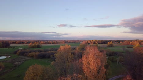 flying forward over the colorful tree tops in golden sunset on autumn evening