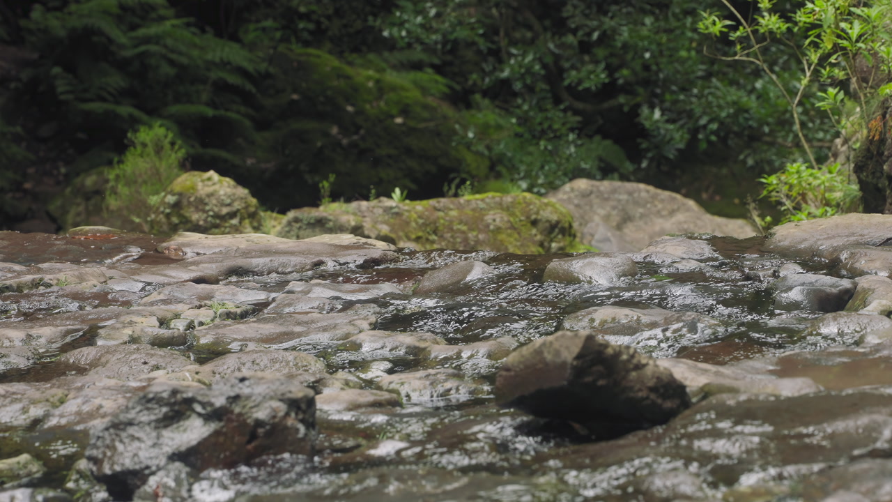 Water flow at Caldeirao Verde, Madeira island, Portugal