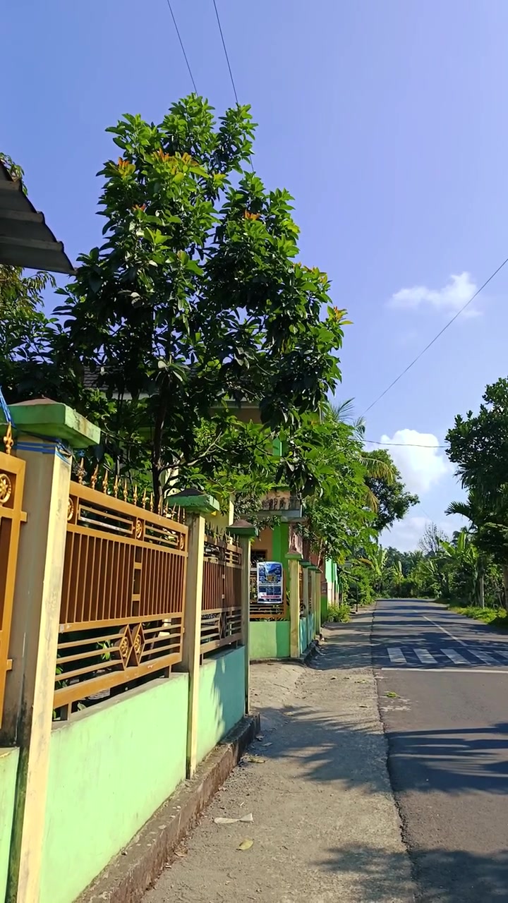 Pemandangan Pinggir Jalan Pedesaan yang Tenang dengan Pagar Hijau dan Pohon Rindang