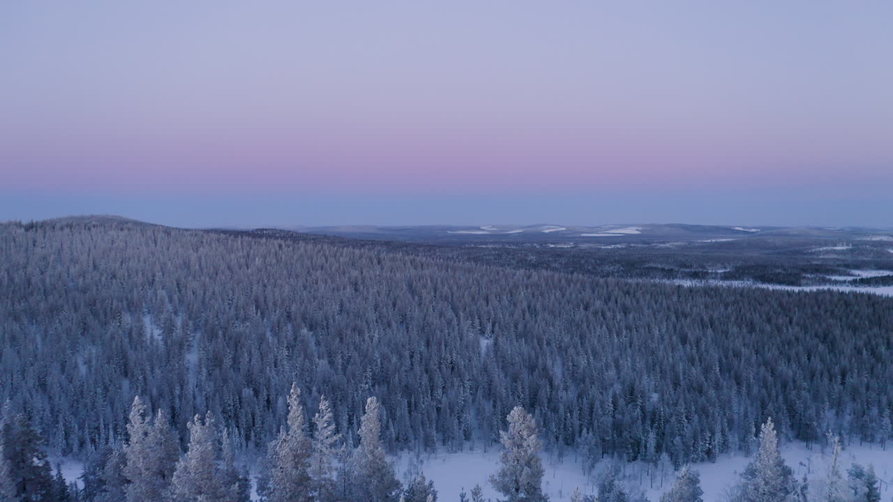 Reverserende luftopptak over vinterlige skogtrær med snødekt fjellkjede langs horisonten