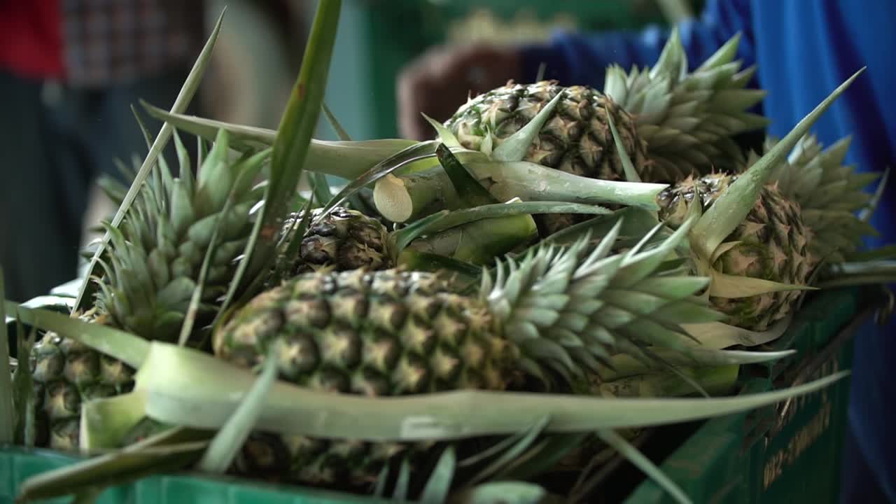 toma de cosecha de piña en sony a6500