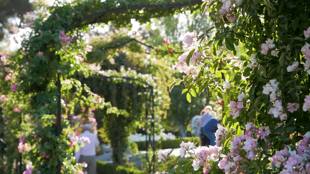 Park entrance gate covered by flowers. Beautiful and inviting garden scene.
