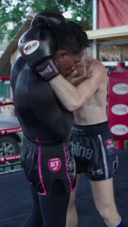 muay thai sparring session