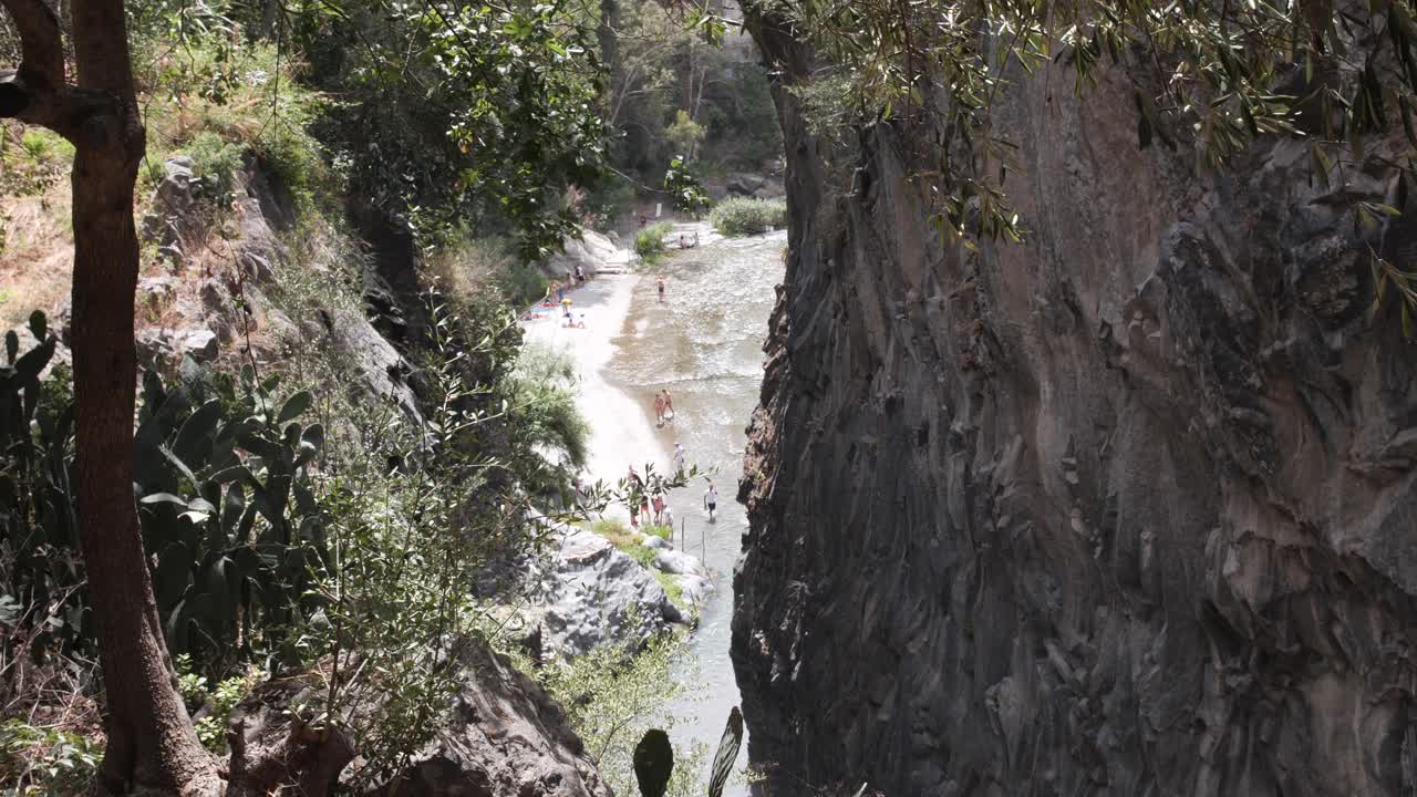 fotografía estable de arriba hacia abajo de un tronco de árbol y tierra en un día soleado en taormina, italia