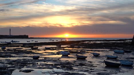 increíble paisaje de puesta de sol en el océano de marea baja con pájaros en segundo plano