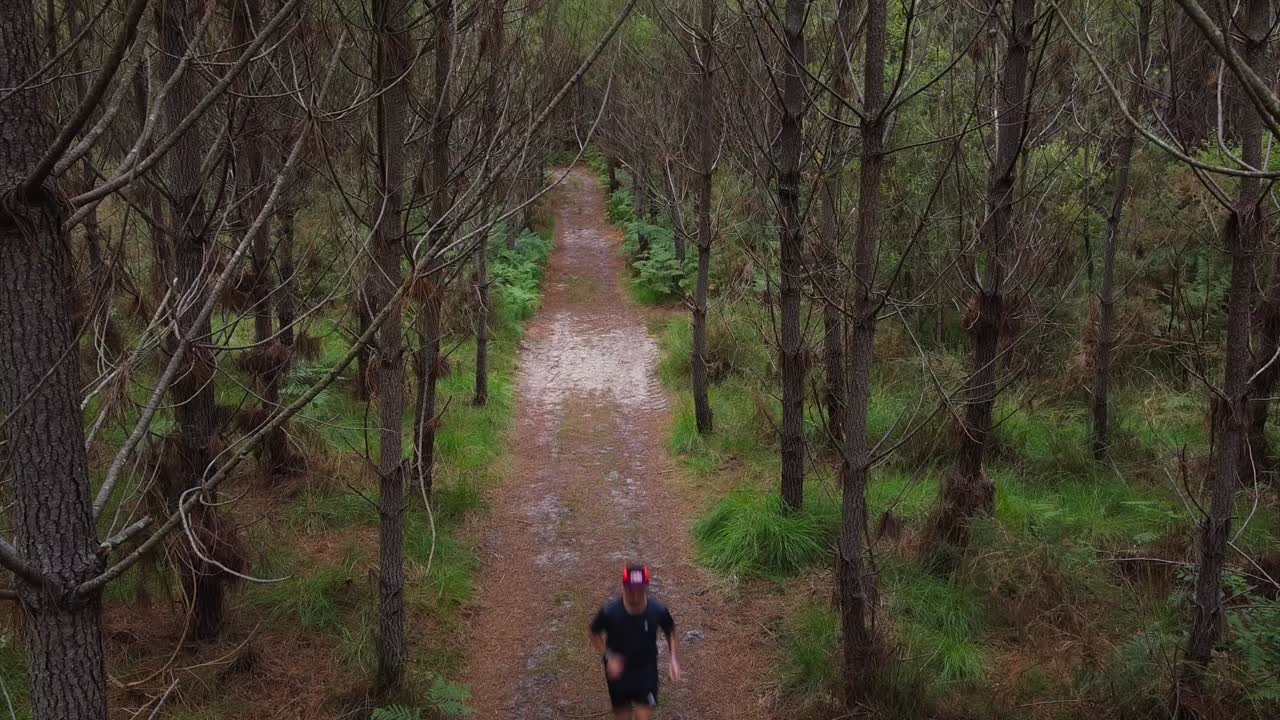 숲을 달리는 트레일을 달리고 연습하는 남자