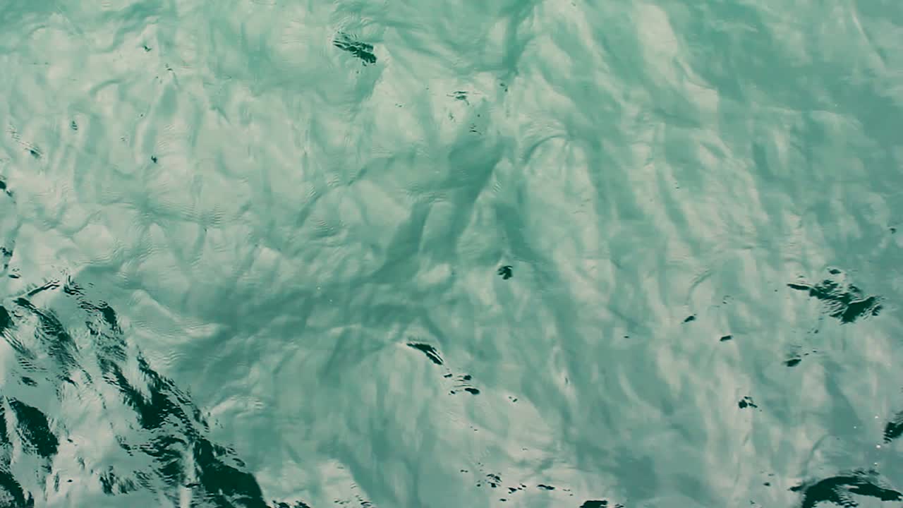 cerca del agua de mar