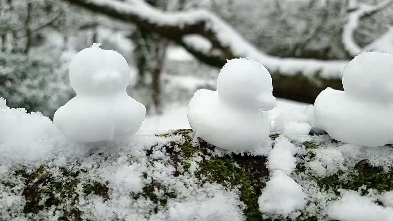 겨울 숲의 나무 문에 줄지어 앉아있는 모양의 눈 오리 장식