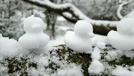 assortment of shaped snow ducks decoration sitting in a row on winter woodland wooden gate