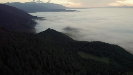 drone-aerial,-Autumn-morning,-fog-in-valley,-misty-forest