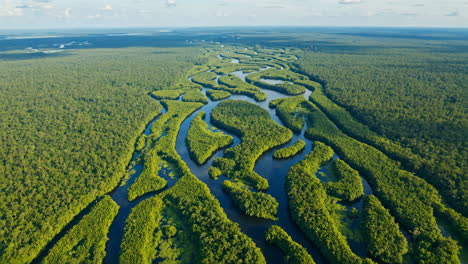 aerial view of the amazon river rainforest