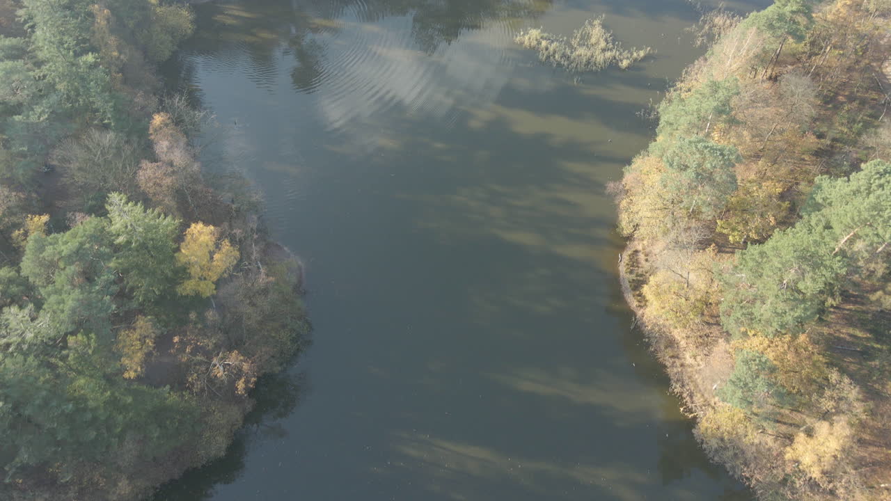 антенна с изображением озера, окруженного лесом, с указанием пешеходной тропы