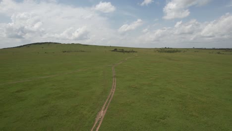 cheetah chasing down some gazelles in maasai mara, kenya