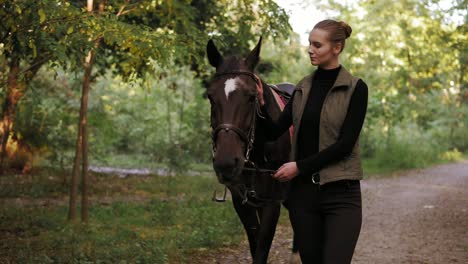 young beautiful woman is petting a stunning brown horse with white spot on forehead while walking together in the forest during