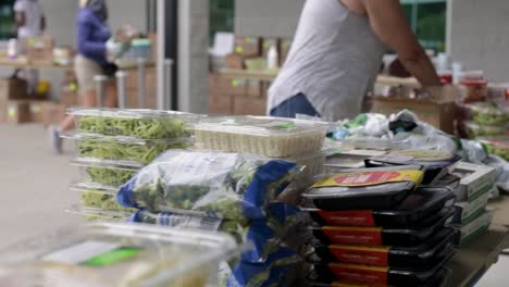 retrato recortado de una voluntaria femenina boxeando alimentos para donar a personas sin hogar - obras de caridad del coronavirus - tiro medio, cámara lenta