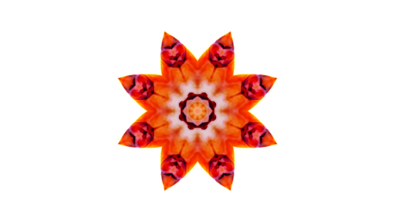 Abstract Kaleidoscope Movement: Geometric Circle and Star Shapes